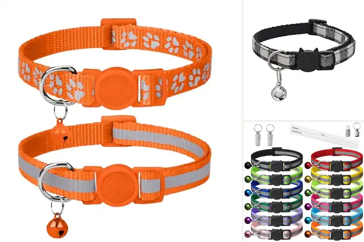 Detailed view of Best Adjustable Breakaway Collars