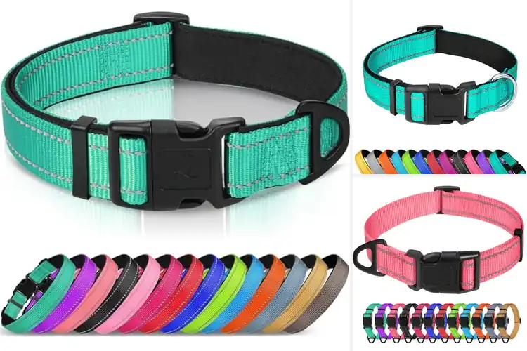 Detailed view of Best Adjustable Collars
