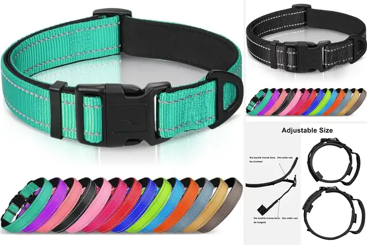 Detailed view of Best Adjustable Dog Collars