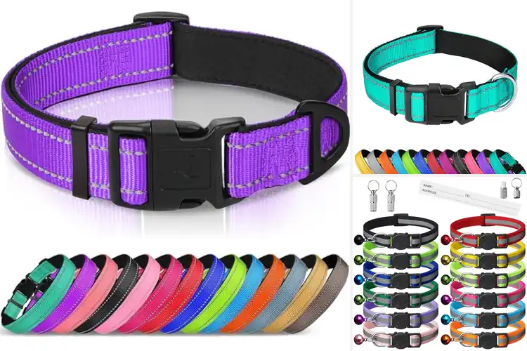 Detailed view of Best Adjustable Pet Collars for Safe & Stylish Adventures