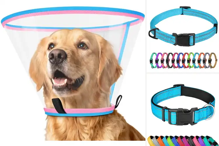 Detailed view of Best Adjustable Sizing Pet Collars