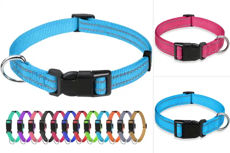 Detailed view of Best Adjustable Small Dog Collars