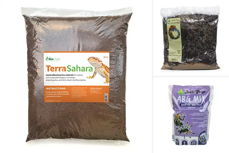 Detailed view of Best Bioactive Substrates: Effortless, Thriving Pet Habitats