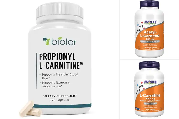 Detailed view of Best Bioavailable Carnitine Supplements