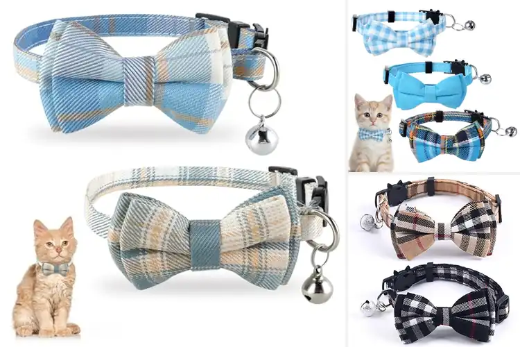 Detailed view of Best Bowtie Cat Collars