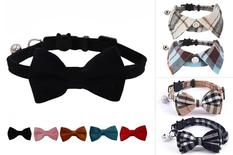Detailed view of Best Breakaway Cat Collar Bowtie Style