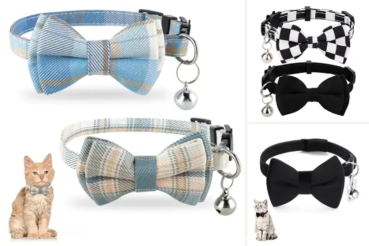 Detailed view of Best Breakaway Cat Collar Dog Bowcollar