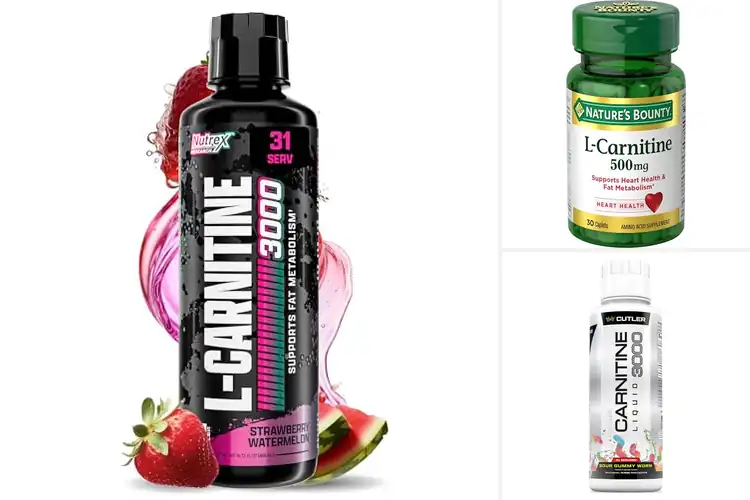 Detailed view of Best Carnitine For Energy Metabolism