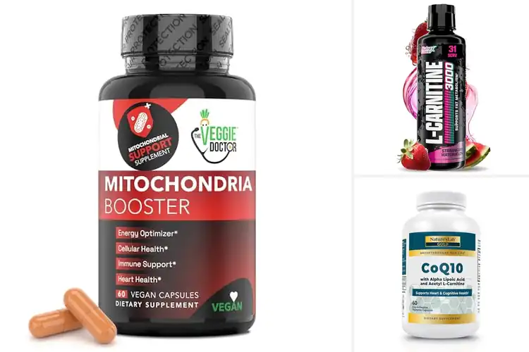 Detailed view of Best Carnitine For Mitochondrial Energy Production