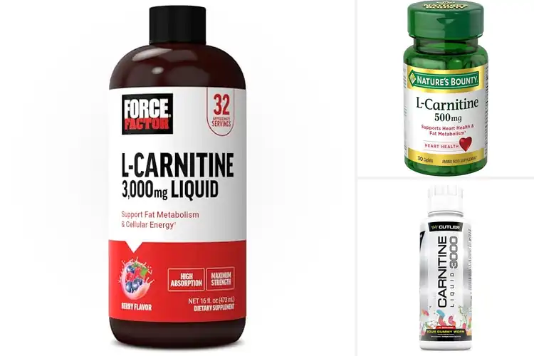 Detailed view of Best Carnitine Supplement For Fat-To-Energy Support