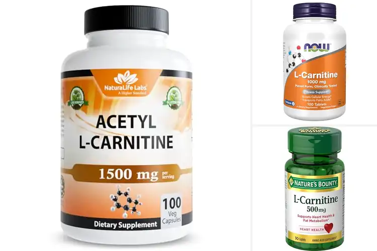 Detailed view of Best Carnitine Supplements