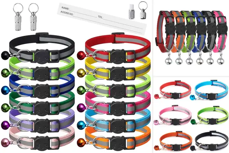 Detailed view of Best Cat Collars: Safety, Style, and Comfort for Your Feline