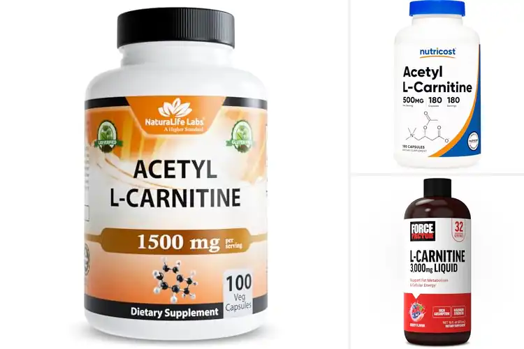 Detailed view of Best Clean Science-Backed L-Carnitine Supplement