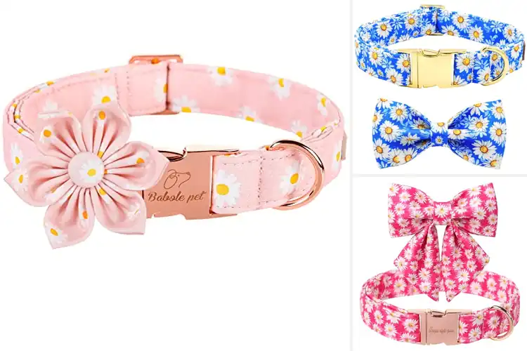 Detailed view of Best Daisy Flower Bow Tie Design Collar