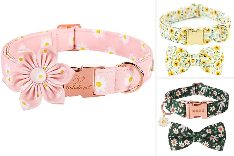 Detailed view of Best Daisy Flower Bowtie Collars: 10 Chic Picks