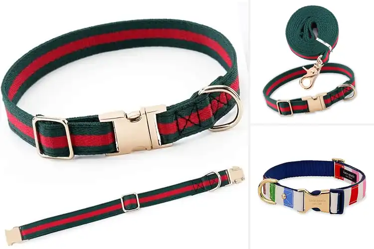 Detailed view of Best Designer Dog Collars