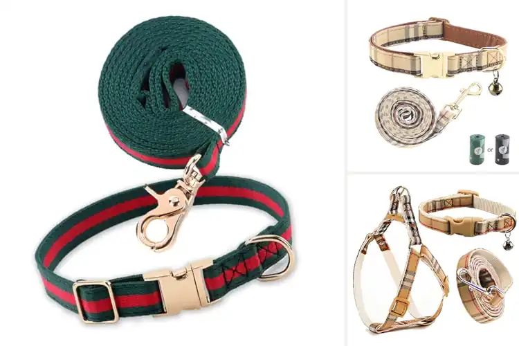 Detailed view of Best Designer Pet Collars