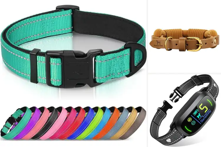 Detailed view of Best Dog Collars: Top Picks for Safety, Style & Comfort