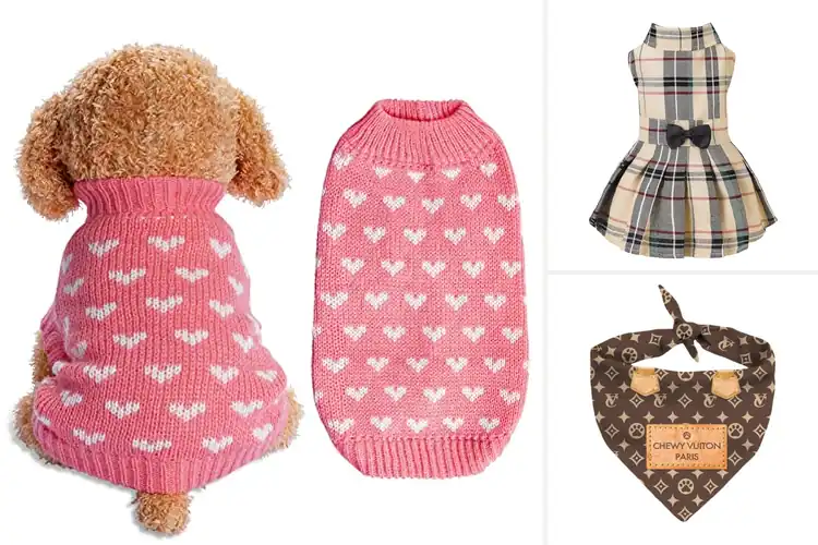 Detailed view of Best Dog Fashion: Top Picks for Stylish, Cozy Outfits