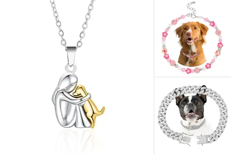 Detailed view of Best Dog Necklaces