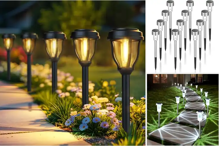 Detailed view of Best Durable Solar Garden Lights