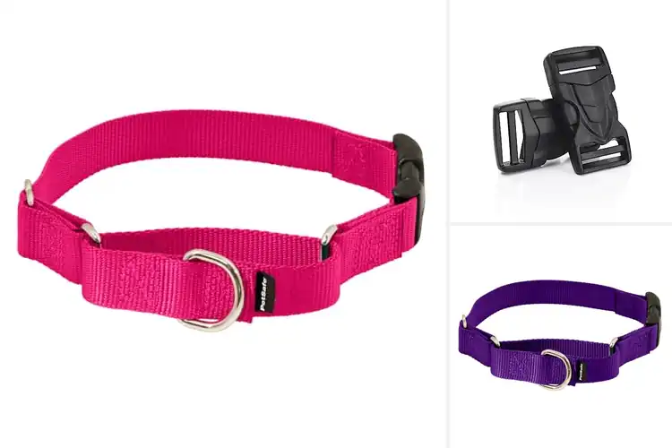 Detailed view of Best Easy Wear Pet Collar Buckle