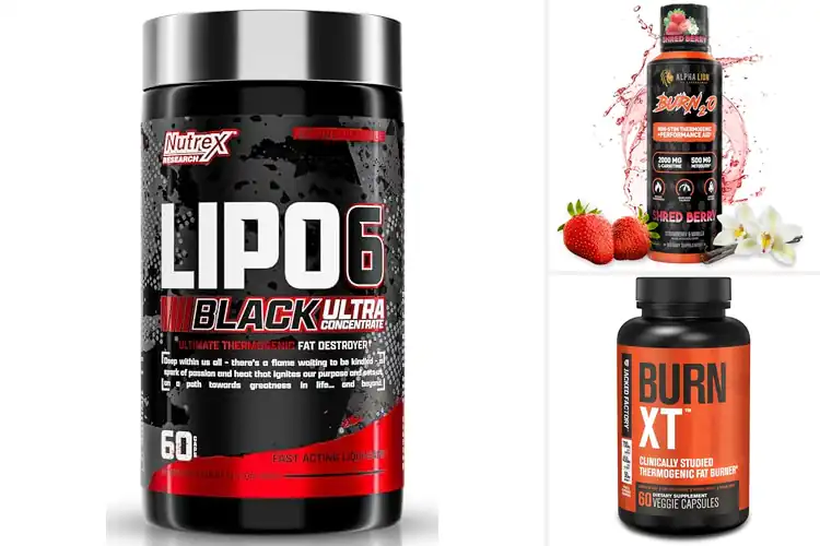 Detailed view of Best Fat Burners to Boost Metabolism and Energy Fast