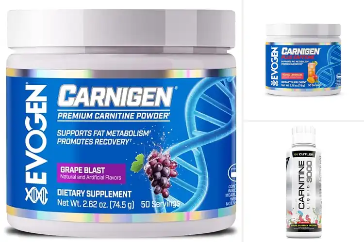 Detailed view of Best Fat Metabolizer Carnitine Supplement