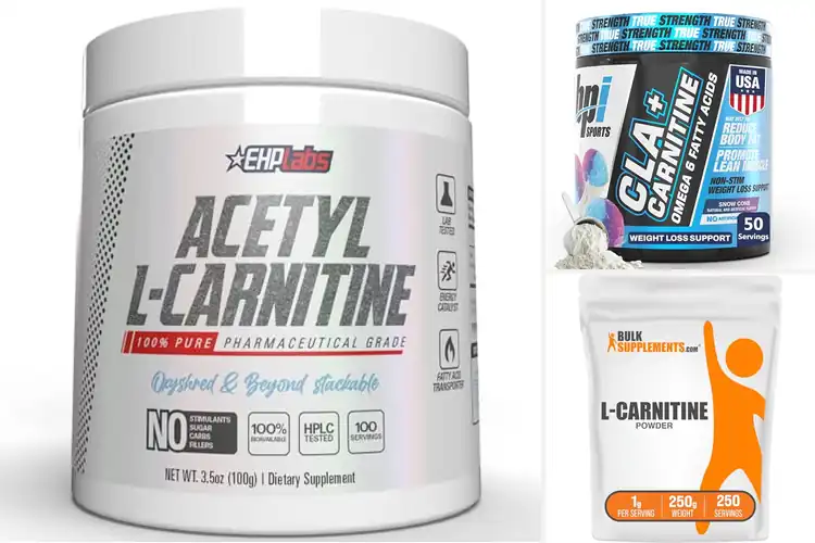 Detailed view of Best Fatty Acid Transport Support Carnitine Powder