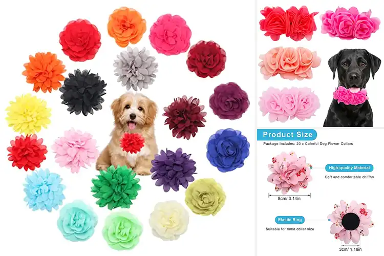 Detailed view of Best Flower Collars