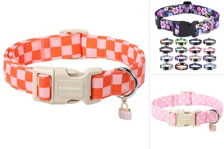 Detailed view of Best Girl Dog Collars