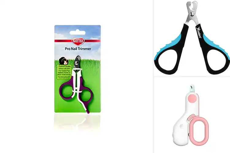 Detailed view of Best Guinea Pig Nail Clippers