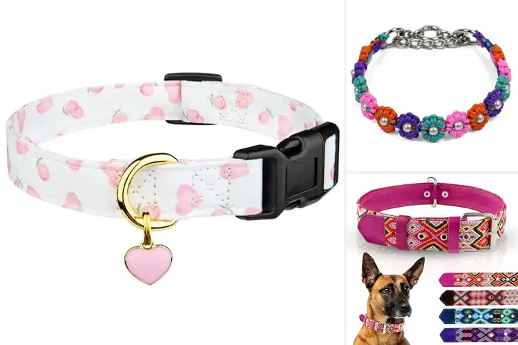 Detailed view of Best Handmade Dog Collars: Top 10 Stylish Picks for Your Pet