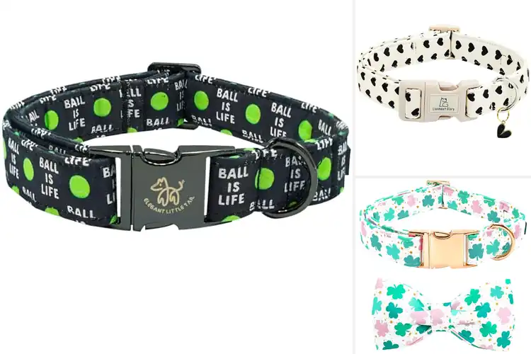 Detailed view of Best Holiday Gift Pet Collar