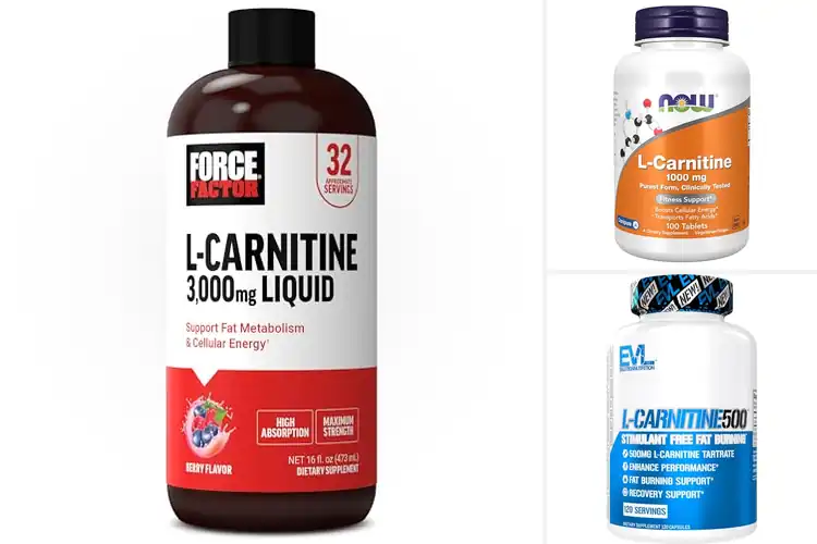 Detailed view of Best L Carnitine For Weight Support