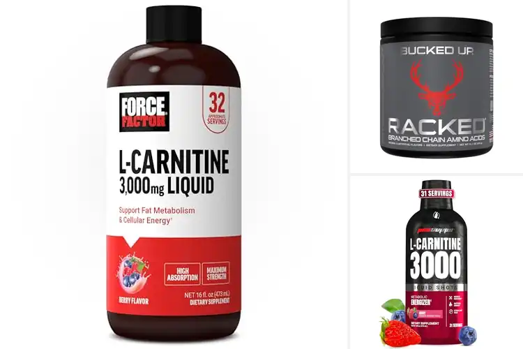 Detailed view of Best L Carnitine For Workout Recovery
