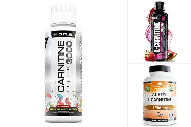 Detailed view of Best L-Carnitine Supplement For Workout Performance