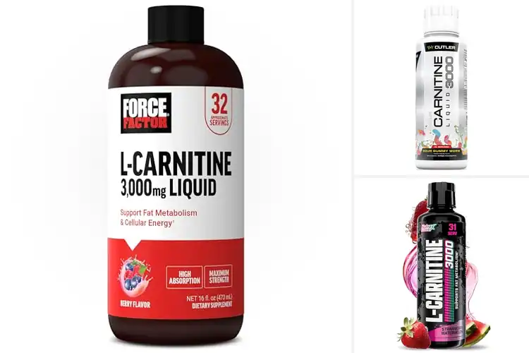 Detailed view of Best L-Carnitine Supplement for Workout Recovery