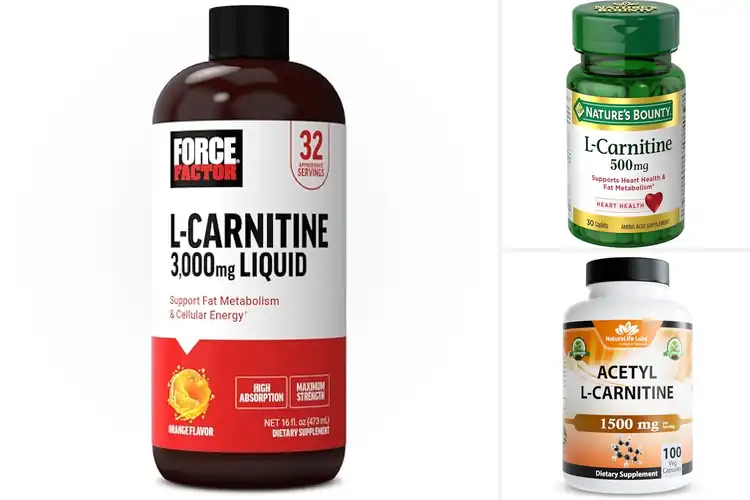 Detailed view of Best L Carnitine Supplements For Fat Metabolism
