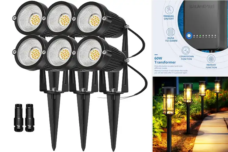 Detailed view of Best Landscape Lighting