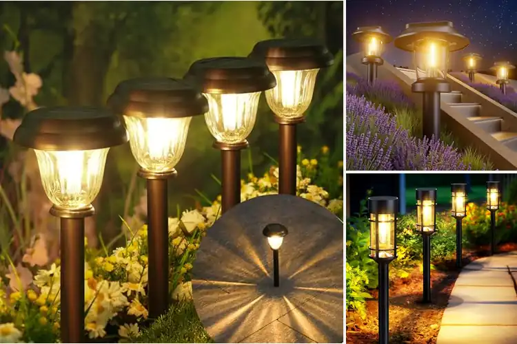Detailed view of Best long-lasting solar pathway lights