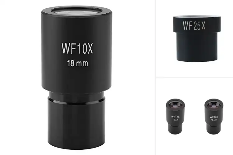 Detailed view of Best Microscope Eyepieces