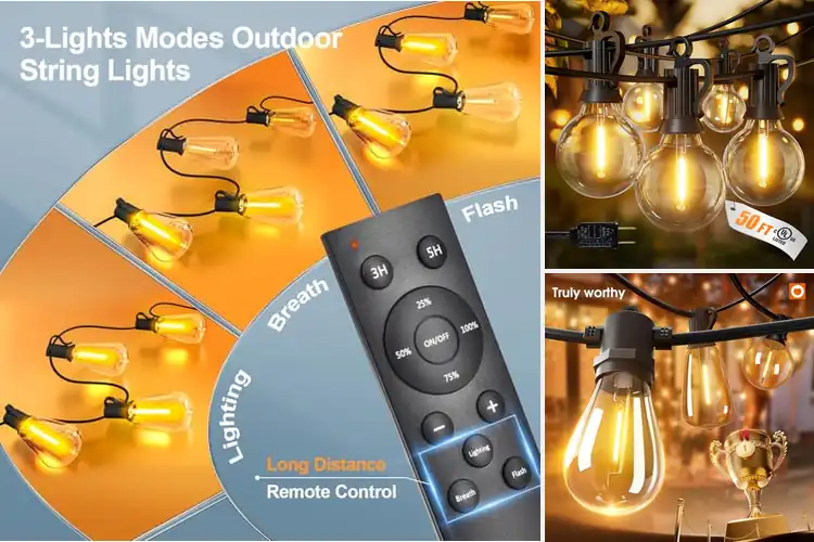 Detailed view of Best Outdoor Lights: 10 Top Picks to Transform Your Space