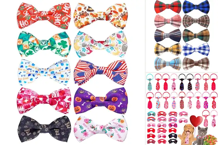 Detailed view of Best Party Wedding Holiday Collar Accessories