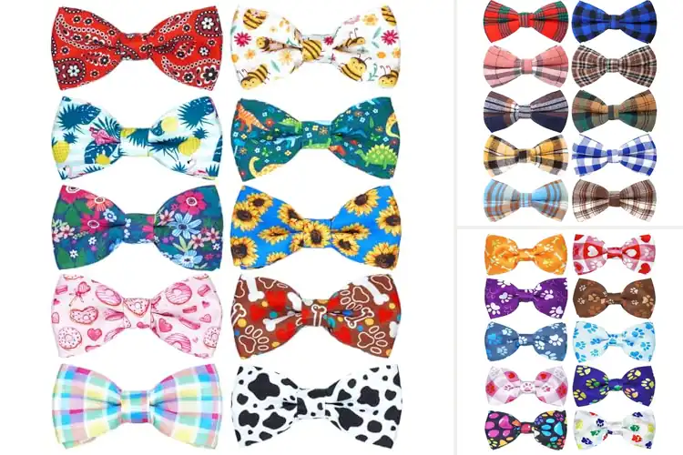 Detailed view of Best Party Wedding Holiday Pet Collars