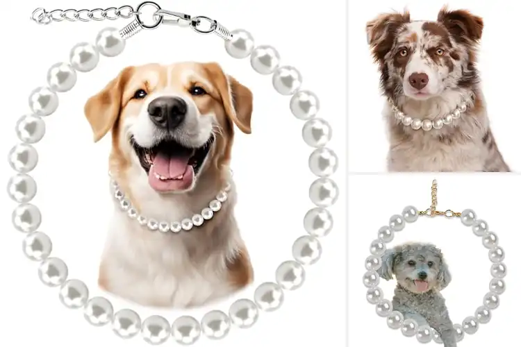 Detailed view of Best Pearl Dog Collars