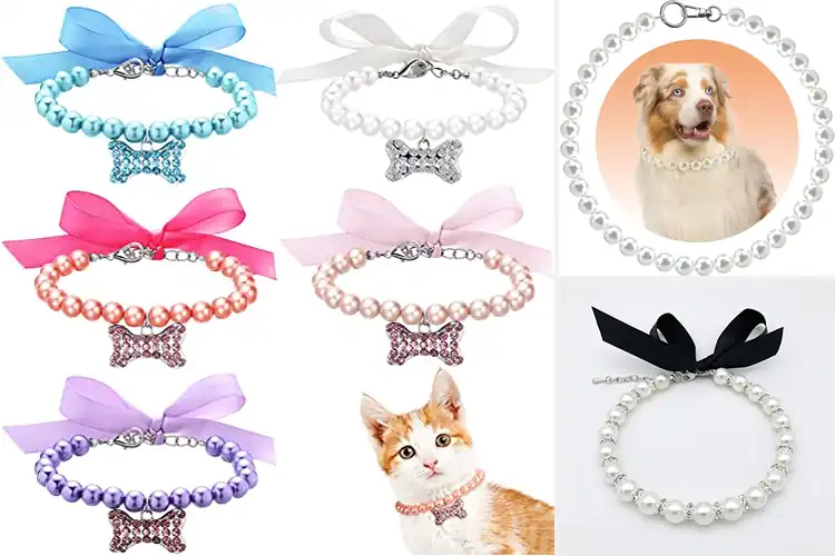Detailed view of Best Pearl Pet Collars: Chic Comfort for Your Furry Friend