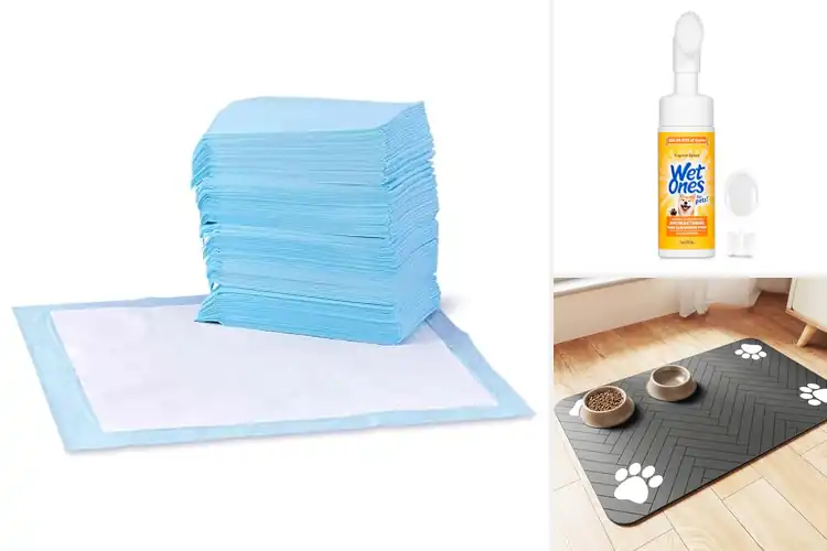 Detailed view of Best Pet Accessories