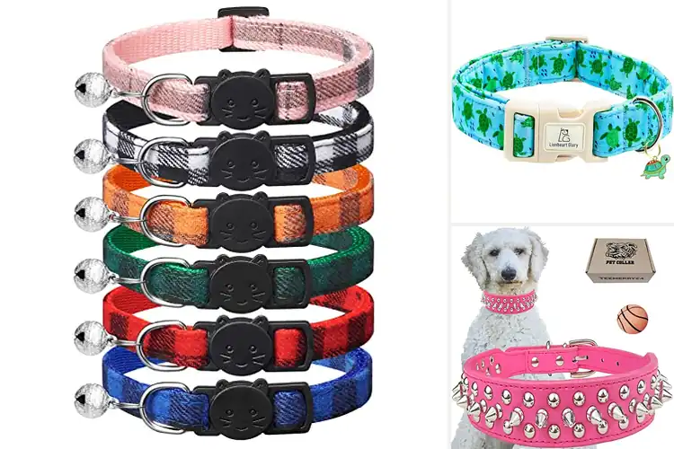 Detailed view of Best Pet Gift Collars