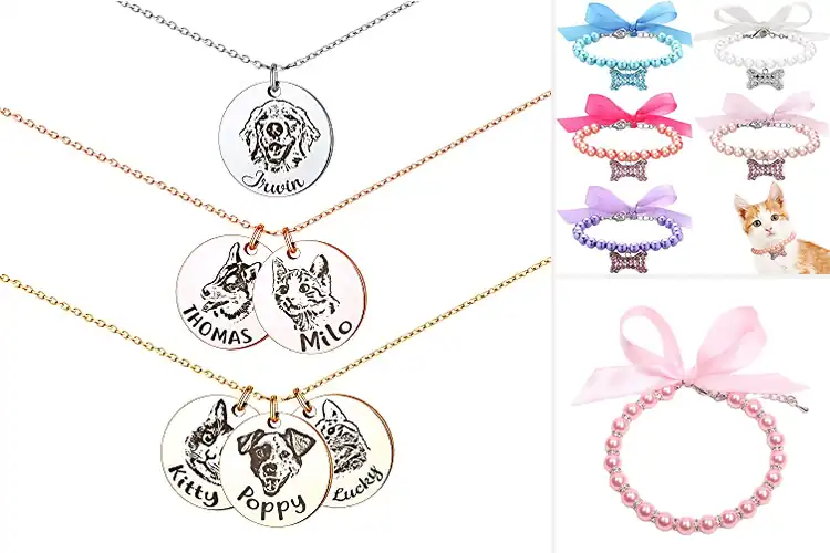 Detailed view of Best Pet Jewelry